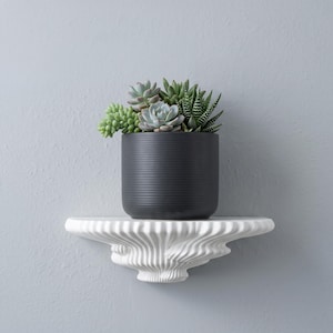 Pode incluir: Um vaso cilíndrico cinza-escuro com textura canelada horizontal contendo várias suculentas verdes, apoiado numa prateleira de parede branca com um padrão decorativo de ondas orgânicas na sua parte inferior.