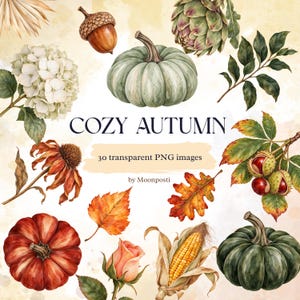 Könnte beinhalten: Eine Sammlung von Aquarellillustrationen mit einem grünen Kürbis, einem roten Kürbis, einer Eichel, einer Artischocke, einer weißen Hortensie, einer Rose, einem Maiskolben und verschiedenen Herbstblättern mit dem Text COZY AUTUMN und 30 transparent PNG images by Moonposti.
