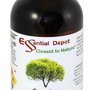 Camphor Essential Oil 4 oz.