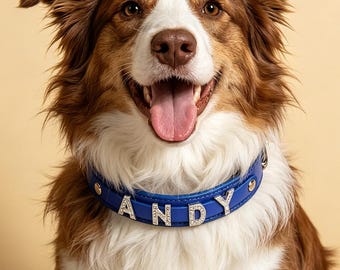 Collare per cani personalizzato con lettere in strass: in ecopelle, con fibbia in metallo. Accessorio per animali domestici.