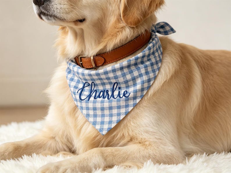 May include: A golden dog wearing a brown leather collar and a blue and white gingham patterned bandana. The bandana features the name Charlie embroidered in dark blue cursive script across the center of the fabric.