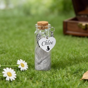 May include: A small glass bottle with a cork stopper, containing grey material, and a heart-shaped charm that says "Chloe" with a cat silhouette. The bottle is hanging from a silver wing charm. The bottle is on green grass.