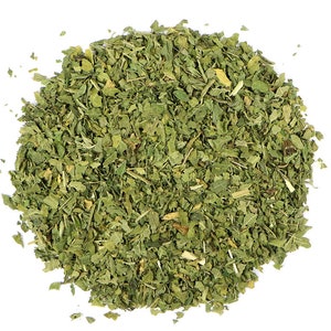 Nettle Leaf | Urtica dioica