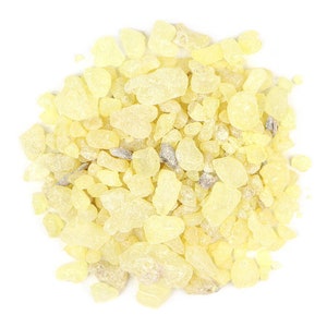 Copal Oro Gold Pieces | Wild-crafted Copal Oro Pieces | Shorea Javanica