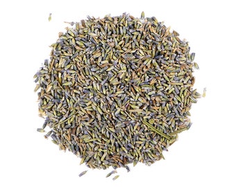Lavender Flowers - Strong Blue Color - Lavandula x intermedia