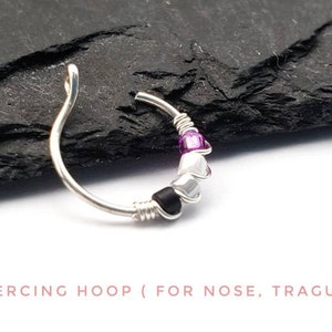 Asexual Pride Smycken - Ace Pride - Faux Piercing - Näsring - Örhängen med krok - LBGTQ+ Pride bild 2