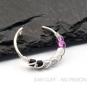 Asexual Pride Smycken - Ace Pride - Faux Piercing - Näsring - Örhängen med krok - LBGTQ+ Pride bild 3