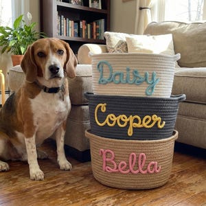 May include: A beagle sits next to three stacked rope baskets. The top basket is white with "Daisy" in light blue. The middle basket is dark gray with "Cooper" in yellow. The bottom basket is tan with "Bella" in pink.