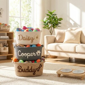 May include: Three woven rope baskets stacked on top of each other, each labeled with a pet's name: "Daisy", "Cooper", and "Buddy". The baskets are filled with colorful dog toys. The scene is set in a living room with a sofa and a wooden shelf.
