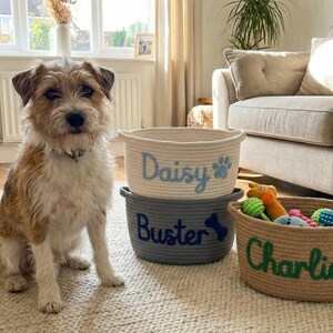 May include: A tan and white dog sits near three rope baskets. The baskets are labeled "Daisy", "Buster", and "Charlie". The "Daisy" basket is light blue, the "Buster" basket is gray, and the "Charlie" basket is tan and filled with dog toys.