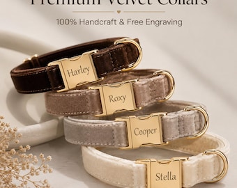 Personalized Velvet Dog Collar, Engraved Gold Buckle, Soft Puppy Collar