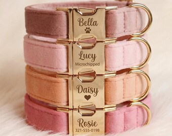 Personalized Velvet Dog Collar, Engraved Gold Buckle, Custom Name & Phone Number ID, Luxury Soft Collar, Adjustable XS-XL Puppy Small Large