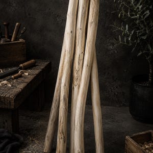 Könnte beinhalten: Eine Ansammlung von fünf hellfarbigen Holzpfählen, die aneinander gelehnt sind. Die Pfähle haben ein natürliches, strukturiertes Aussehen mit sichtbarer Maserung und Knoten. Der Hintergrund umfasst eine Werkbank mit Werkzeugen und eine Topfpflanze, was auf ein Thema der Holzbearbeitung oder Rustikalität hindeutet.