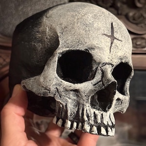 May include: A detailed, weathered skull sculpture with a cross symbol on the forehead. The skull is primarily white with black shading, showcasing the eye sockets, nasal cavity, and teeth. The sculpture is held in a hand.