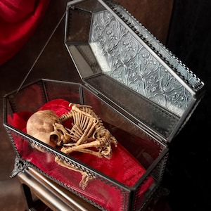 May include: A decorative glass coffin with a hinged lid, featuring a detailed metal frame and ornate glass panels. Inside, a small skeleton rests on a bed of red velvet. The coffin is displayed on a wooden stand.