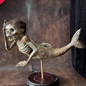 Handmade Fiji Mermaid Relic: Gothic Oddity Display