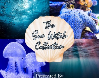 Sea Witch Curated Collection | Coastal Witch Gift Box & Ocean Treasures