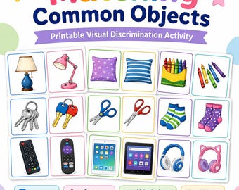Non-Identical Common Object Matching Cards | ABA Autism Printable | Everyday Items Visual Discrimination Activity