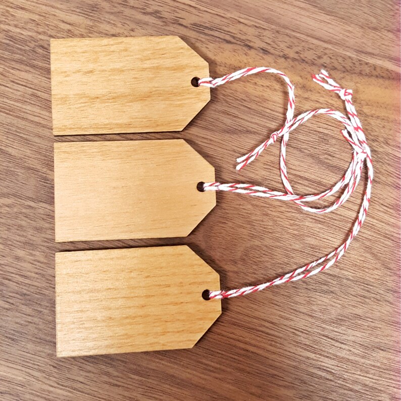 Set of 4 Wood Gift Tags Reusable Naughty or Nice Don't Get Your Hopes Up Best Present Ever This is not a puppy image 3