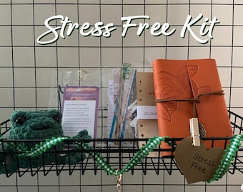 Stress Relief Journal Kit – Crocheted Frog, Memory Prompts, Self Care
