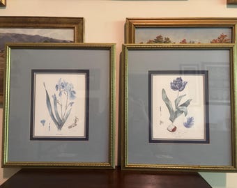 Vintage Botanical Print Set of 2 – Iris Pallida & Tulipa, Double Matted Gold Frames, Traditional Wall Art, Study Decor, Gallery Pair