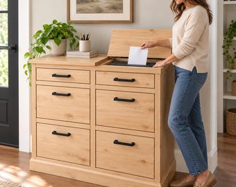 Mail Organizer Cabinet Plans PDF, Filing Cabinet with Hidden Paper Shredder, Entryway Office Storage Woodworking Plan