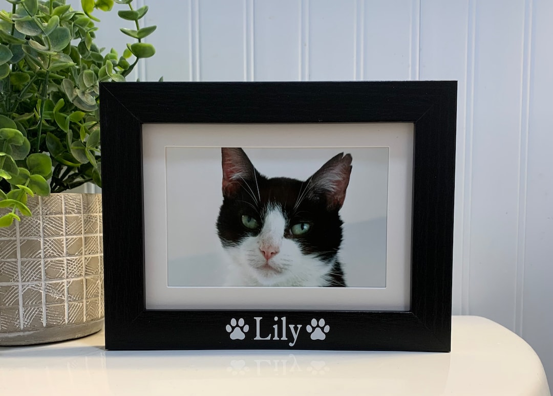 CAT NAME Gift, Cat Frame, Cat Picture Frame, Cat Photo Frame