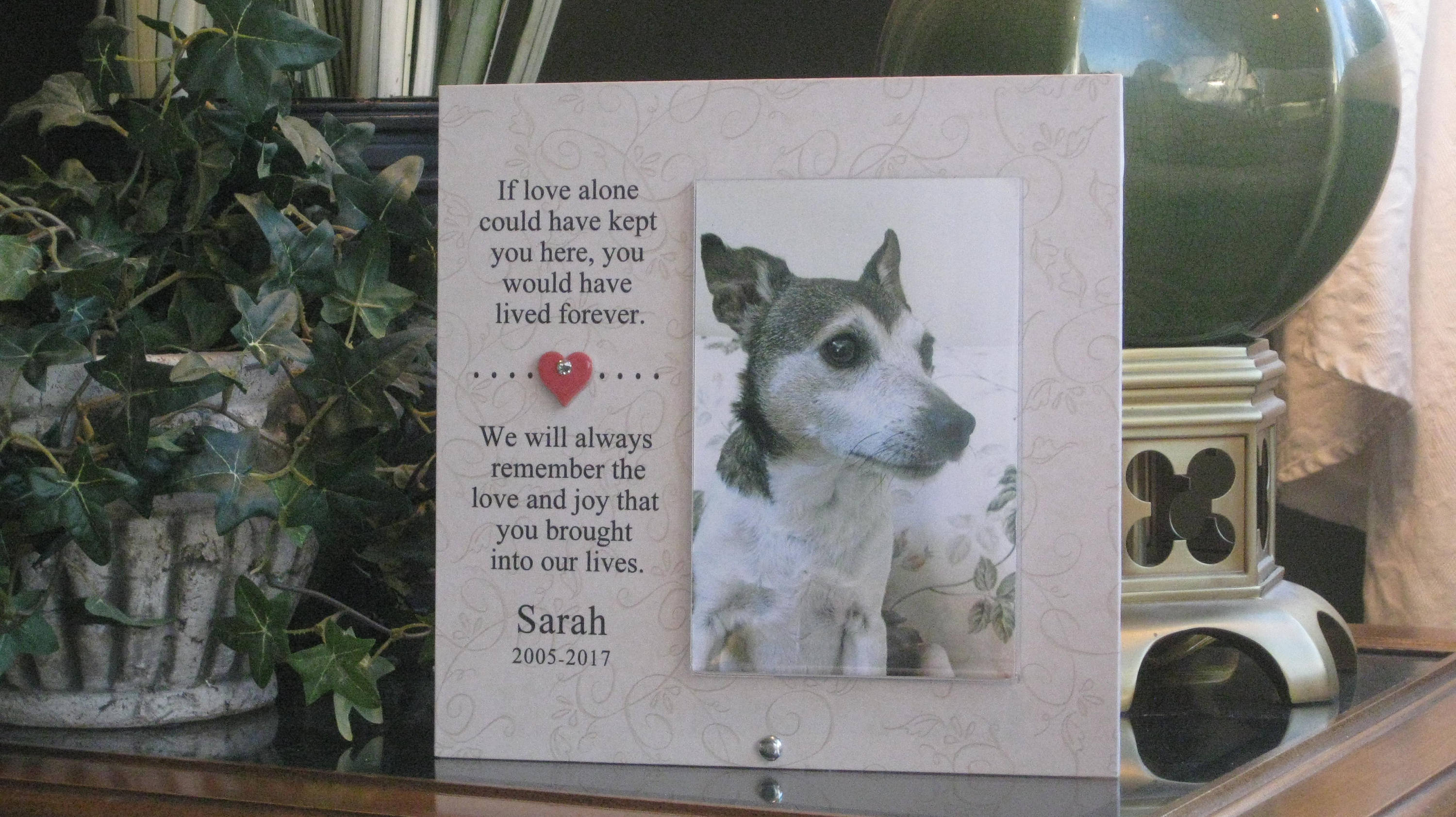 PET Memorial Frame Loss of Pet Frame Pet Loss Memorial Etsy