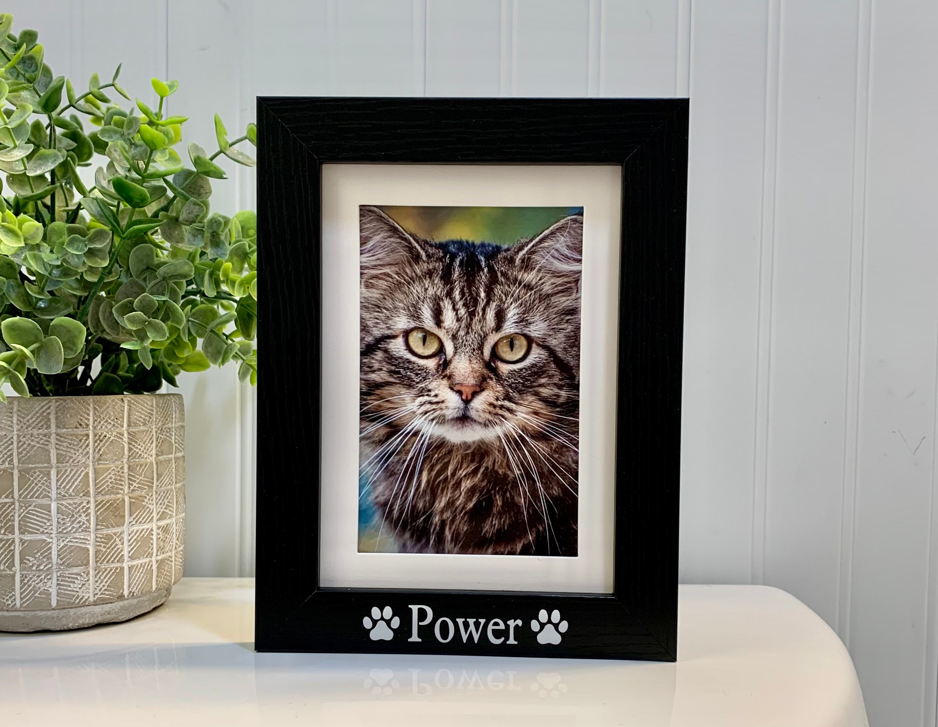 Mini Cat Picture Frame CAT NAME GIFT, Cat Frame, Cat Picture Frame, Cat Photo Frame ...