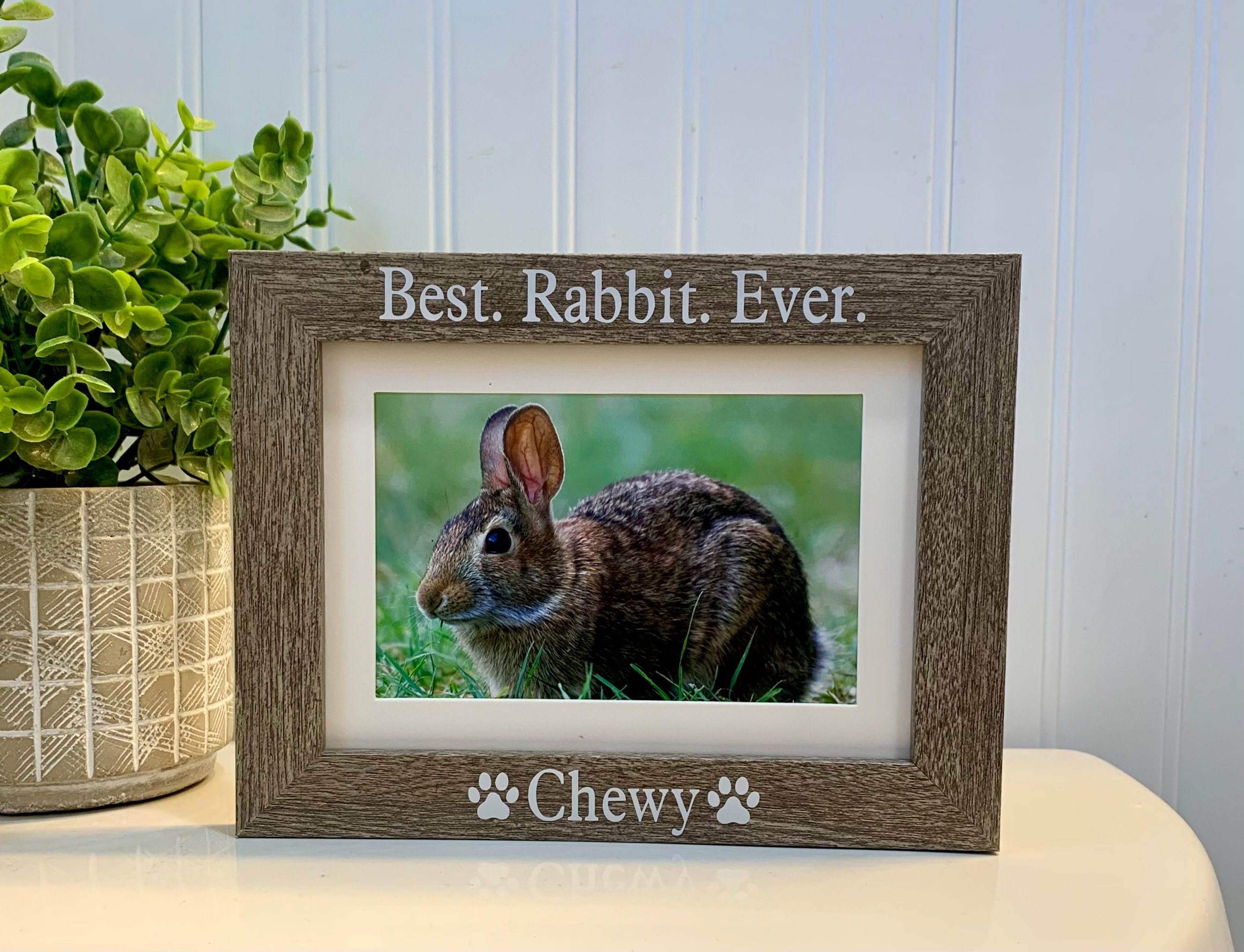 Measuring Picture Frame Rabbit BEST RABBIT EVER Gift, Rabbit Gift, Rabbit Frame, Rabbit Picture Frame ...