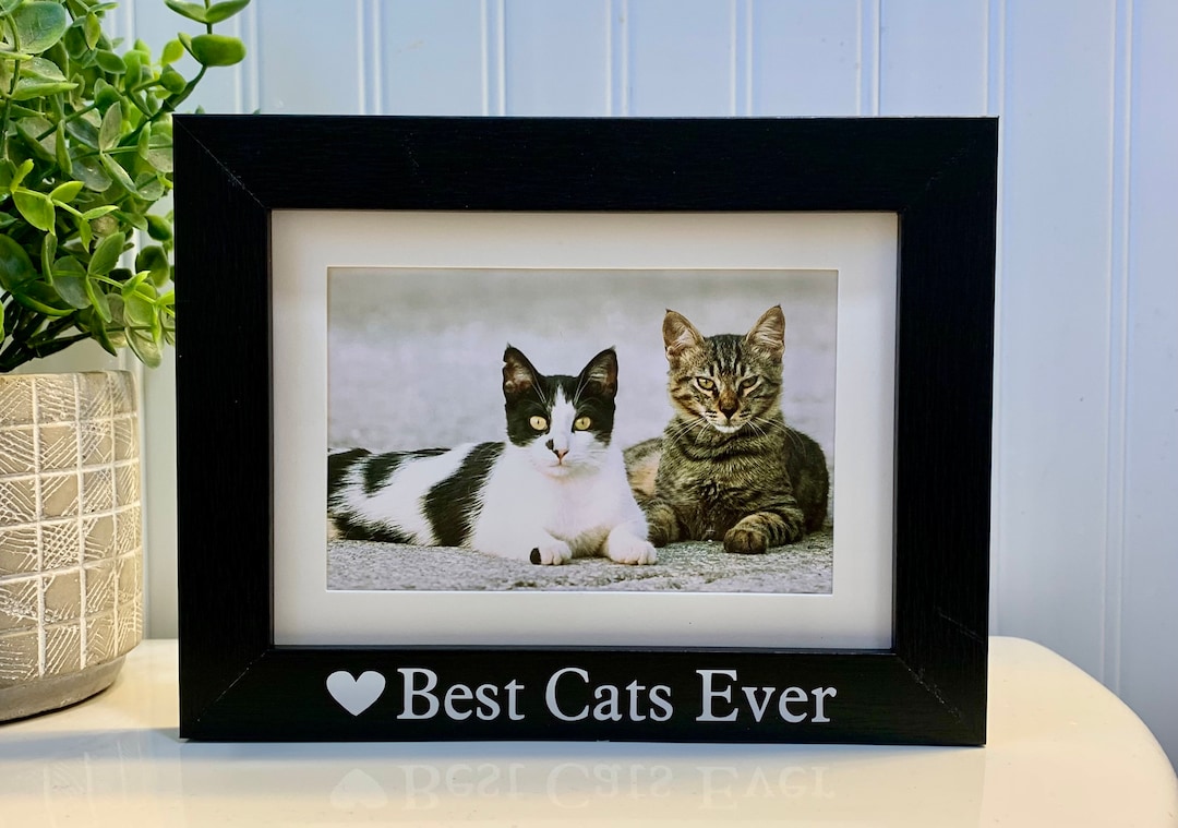 BEST CATS EVER Cats Gift, Cats Frame, Cats Picture Frame, Cats Photo