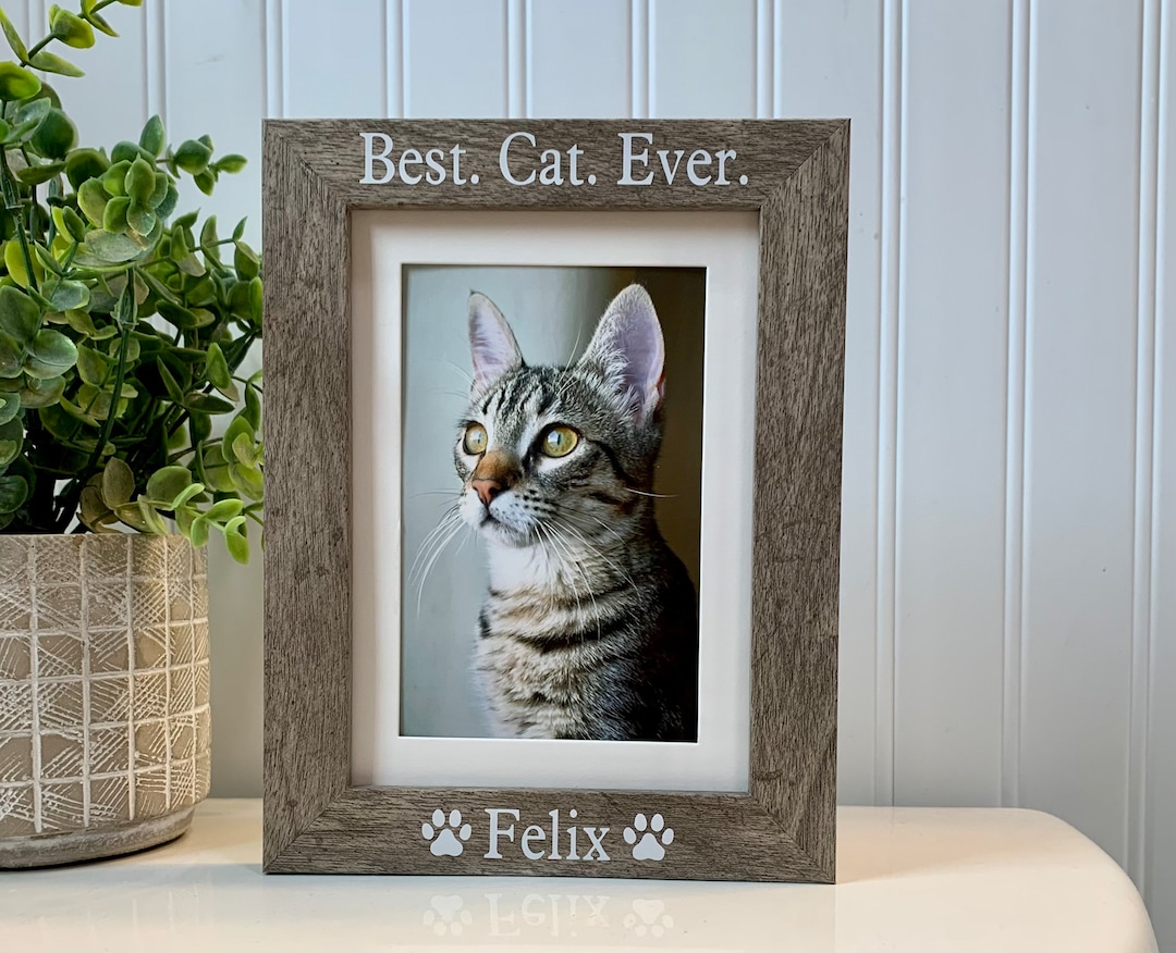 BEST CAT EVER Gift, Cat Frame, Cat Picture Frame, Cat Photo Frame