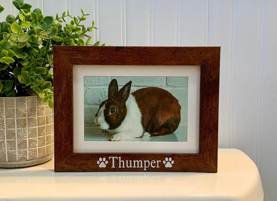 RABBIT NAME GIFT, Rabbit Gift, Rabbit Frame, Rabbit Picture Frame, Rabbit Photo Frame, Rabbit