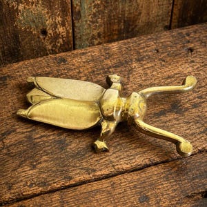 May include: A polished brass figurine shaped like a beetle or insect. The object features a smooth, metallic gold-toned surface with elongated wing covers, a segmented body, and two prominent, curved antennae extending from the head area.