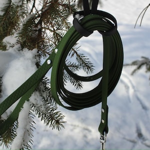 May include: A dark green dog leash with a matching handle, coiled and hanging from a black loop. The leash is made of a durable material and features silver rivets and a metal clasp. The background shows snow-covered evergreen branches.