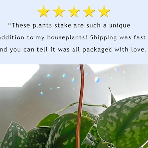 Plant stake suncatcher decor stick for houseplants, decorative copper indoor plant decoration accessory, plant lover gift for yoga teacher image 5