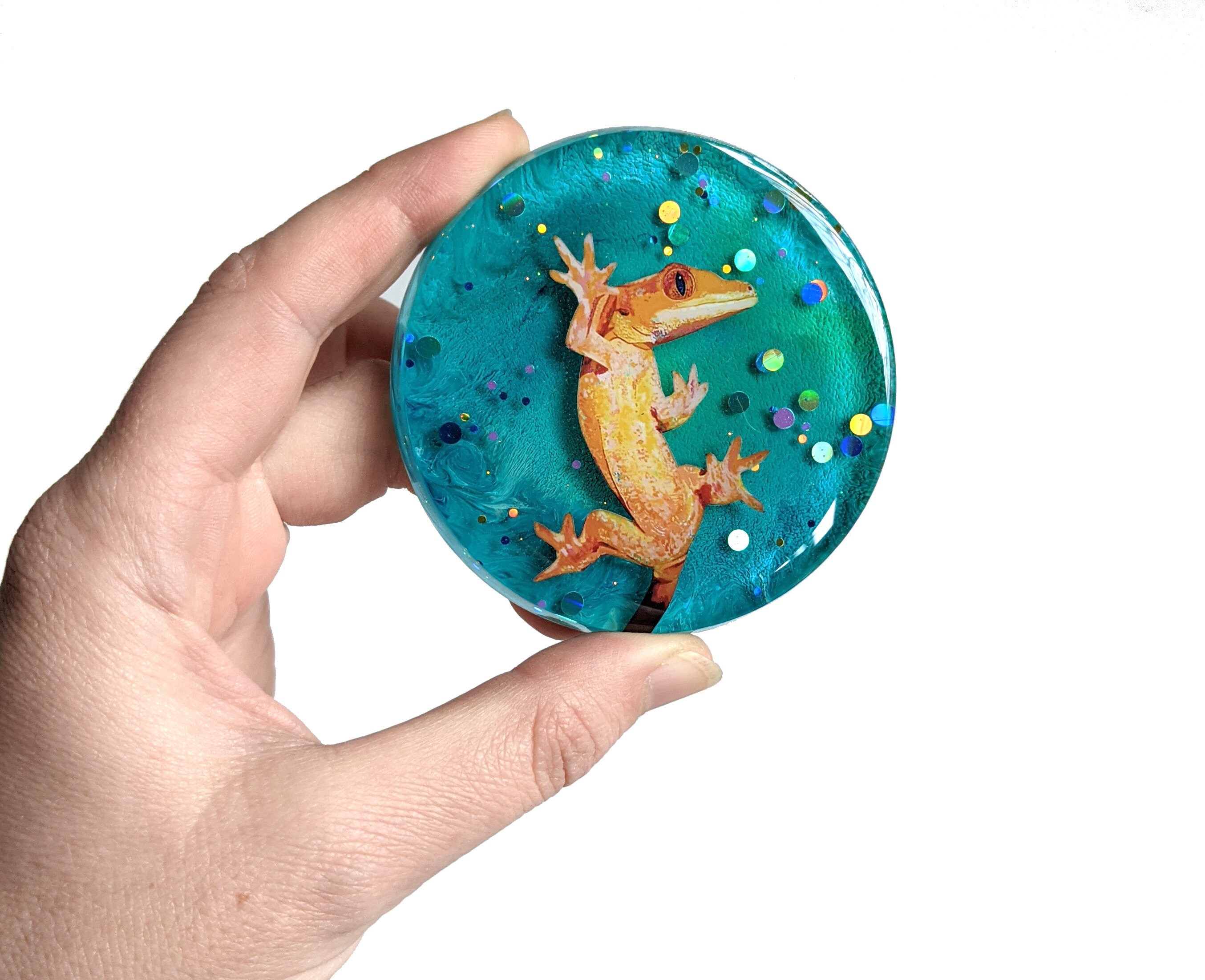 gecko magnet