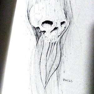May include: A detailed pencil sketch of a skull with a flowing, organic form. The artwork features intricate shading and line work, creating a dramatic and textured effect. The artist's signature, "BWC62", is visible.