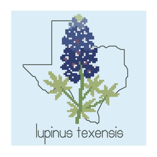 Texas Bluebonnet, Modern cross stitch PATTERN, State flowers