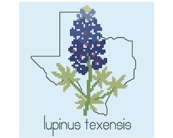 May include: A bluebonnet flower, the state flower of Texas, is depicted in a cross-stitch design. The flower is surrounded by a black outline of the state of Texas. The text "Lupinus texensis" is written below the flower.