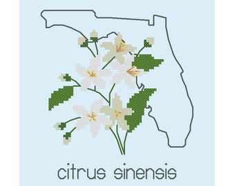 Floridas apelsinblomma, modernt korsstygnsmönster, statliga blommor
