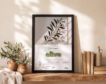 Botanisches Wandbild mit Olivenmotiv und 3D-Schriftzug, gerahmt, 33 x 45 cm