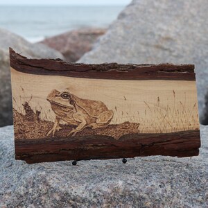 May include: A wooden plaque with a detailed pyrography image of a frog in a natural setting. The frog is brown, and the background features tall grass. The plaque has a natural bark edge and is displayed on a stand.