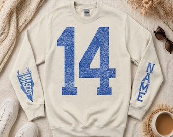 Custom Number and Name Sleeve Print Sweatshirt, Game Day Pennant Flag Hoodie, Football Baseball Clothing CSP376