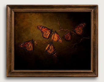 Moody Monarch Butterfly Fine Art Print,