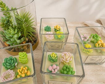 Handmade Succulent Candle - Coconut Wax Candle - Home Decor Gift