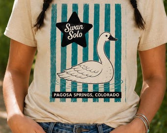 Maglietta Swan Solo Pagosa Springs Colorado / Maglietta vintage con cigno / Maglietta souvenir retrò del Colorado / Maglietta grafica a righe effetto invecchiato