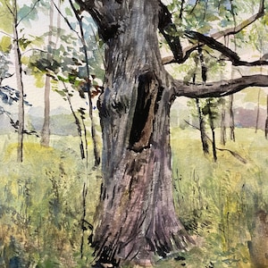 Yelling Tree, original watercolor landscape painting, framed under mat and glass in refurbished vintage wooden frame
