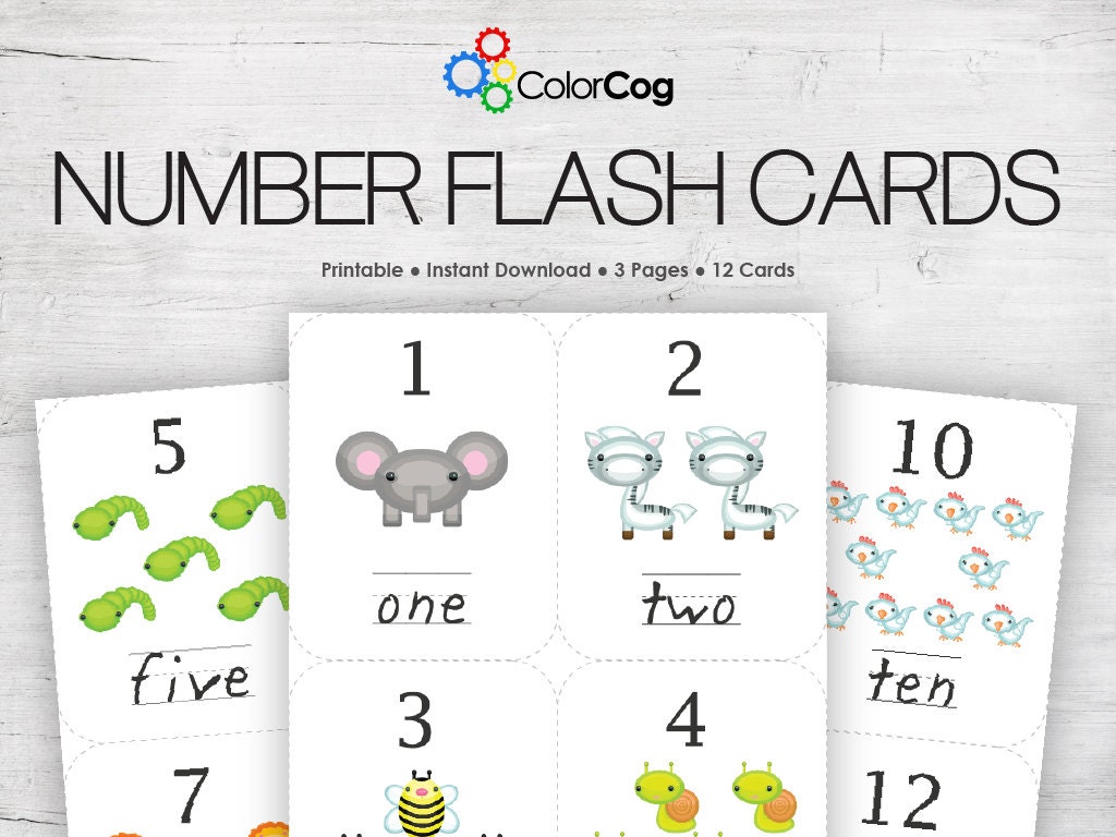 Number Flash Cards Printable PDF Etsy