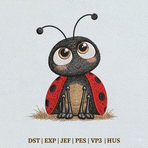 Pode incluir: Uma joaninha de desenho animado fofa com olhos grandes e expressivos e um rosto sorridente. A joaninha tem cabeça e corpo pretos, asas vermelhas com manchas pretas e está sentada em um tufo de grama marrom. Texto: DST | EXP | JEF | PES | VP3 | HUS.